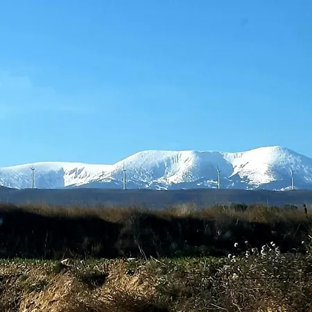 Castillo De * Grisel